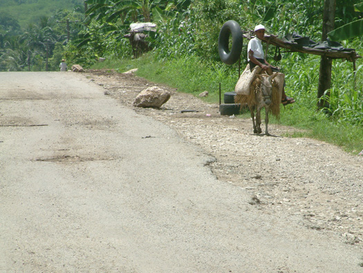 a man riding a donkey down the highway
